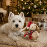 Party Pets Jule Kanin 20 cm med hund