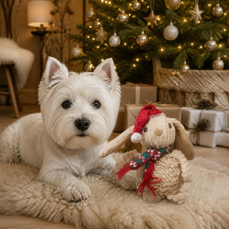 Party Pets Jule Kanin 20 cm med hund