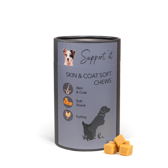 Support'It - Skin & Coat Soft Chews, 60stk