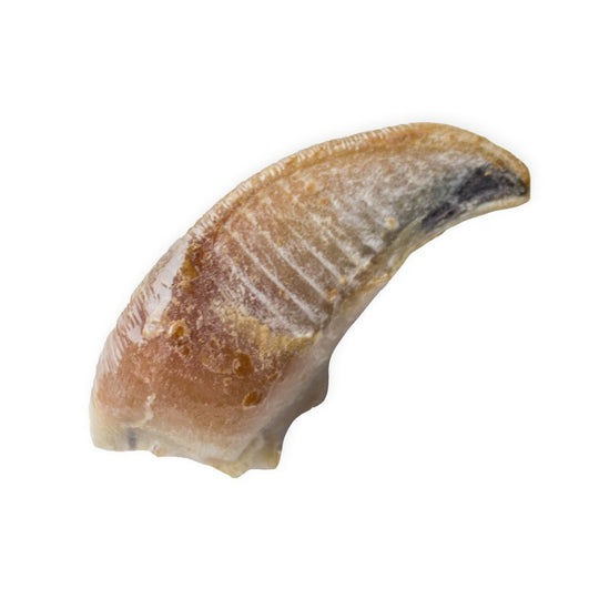 Snack'it Kalveklov m. Paté