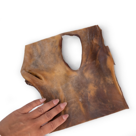 Snack'it  - Kamelhudsplade, ca. 20x20 cm