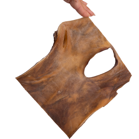 Snack'it  - Kamelhudsplade, ca. 20x20 cm