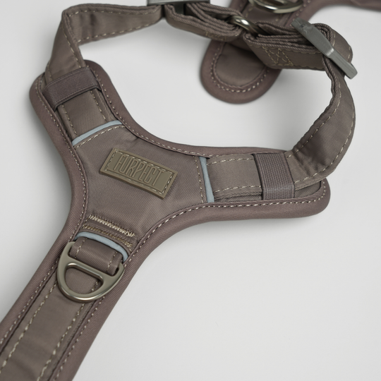 Furpect - Move Y-Hundesele, Latte