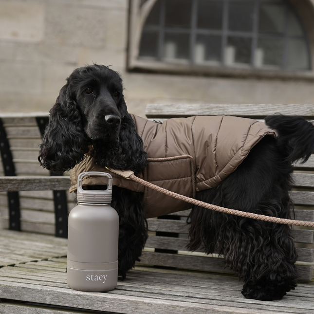 Staey - Noona 2-i-1 rustfri vandflaske m. skål