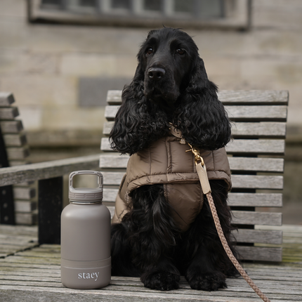 Staey - Noona 2-i-1 rustfri vandflaske m. skål