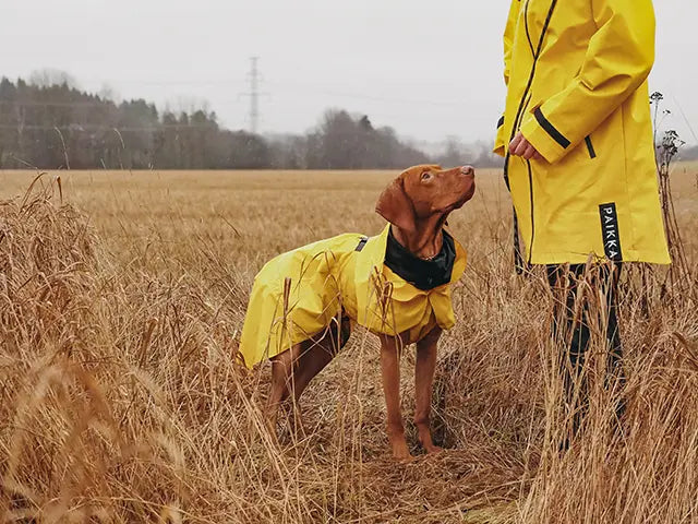 Paikka - Visibility Regnfrakke, Gul
