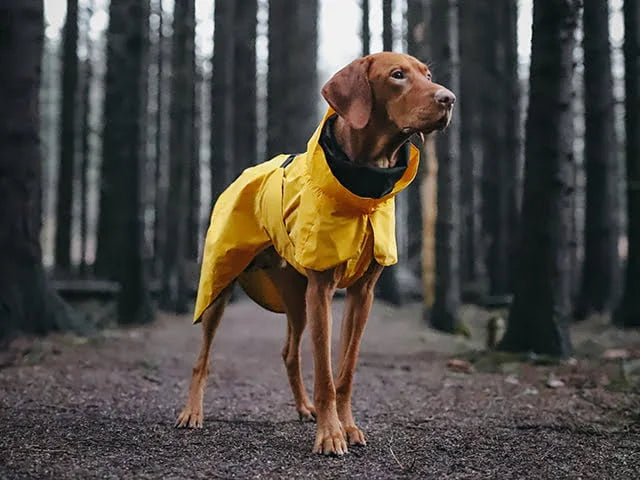 Paikka - Visibility Regnfrakke, Gul