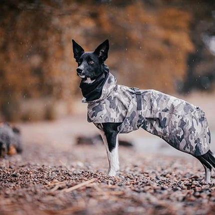 Paikka - Recovery Regnfrakke, Camo
