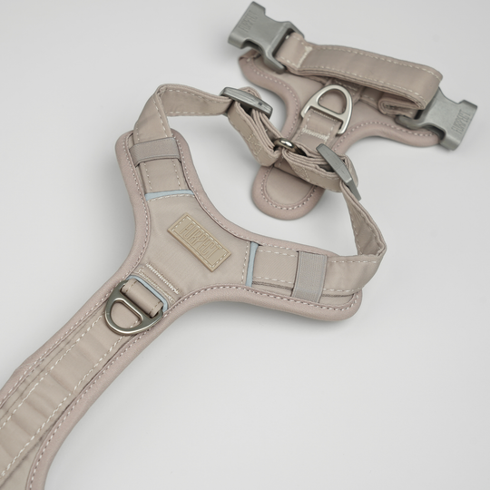 Furpect - Move Y-Hundesele, Sand