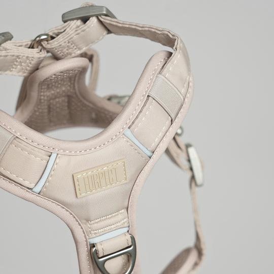 Furpect - Move Y-Hundesele, Sand