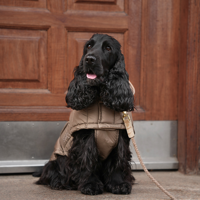 Staey - Nora Hundefrakke, Taupe