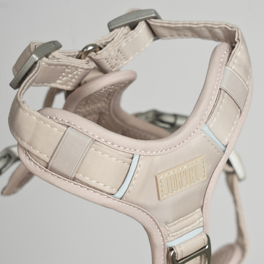 Furpect - Move Y-Hundesele, Sand