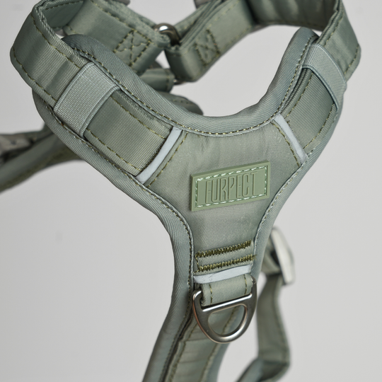 Furpect - Move Y-Hundesele, Sage