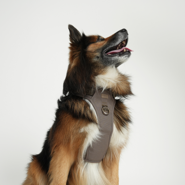 Staey - Elma Active Hundesele, Taupe