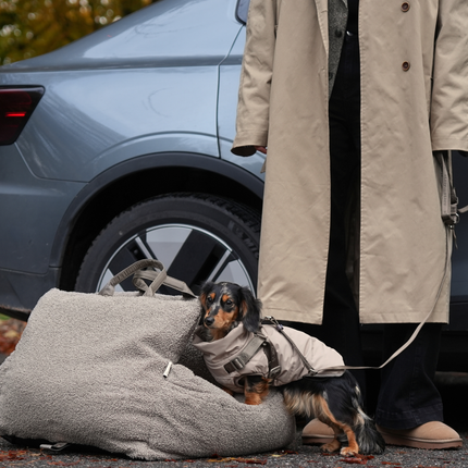 Staey - Lara 3-i-1 Bilsæde, Teddy 2.0