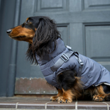 Vera Hundejakke m. sele, Dusty Blue – Staey