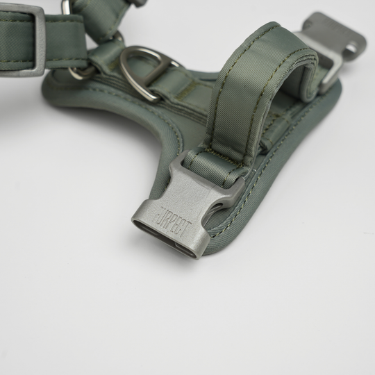 Furpect - Move Y-Hundesele, Sage