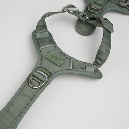 Furpect - Move Y-Hundesele, Sage