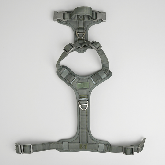 Furpect - Move Y-Hundesele, Sage