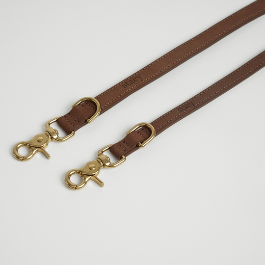 Staey - Grace Hundesnor, Chestnut