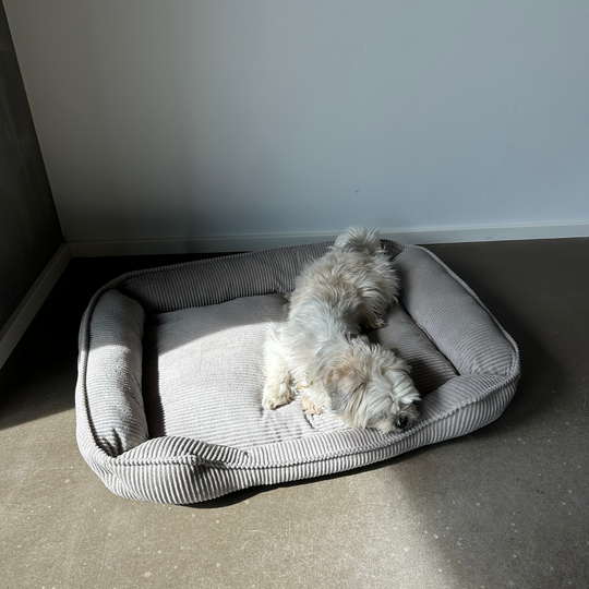 Fløjl Hundeseng - Lysegrå (2. sortering)