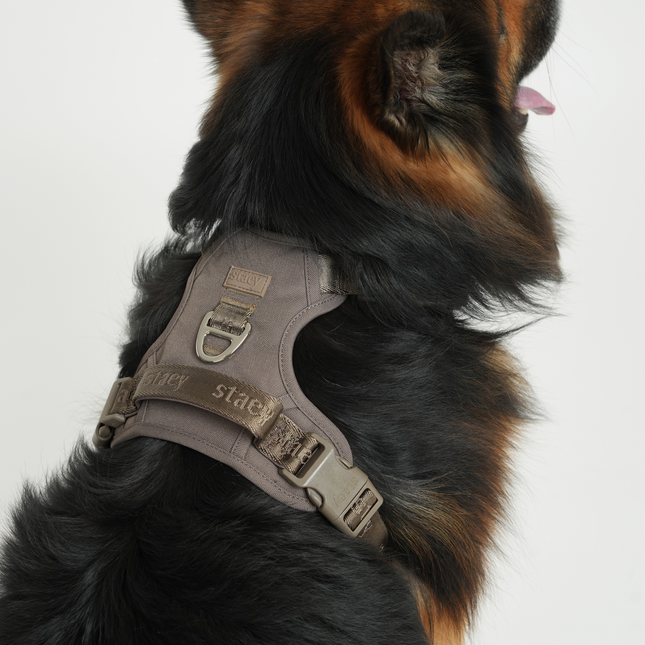 Staey - Elma Active Hundesele, Taupe