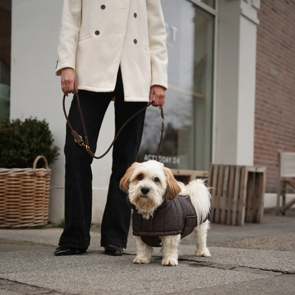 Staey - Kaia Flettet Hundesnor, Dark Oak