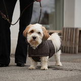 Staey - Kaia Flettet Hundesnor, Dark Oak