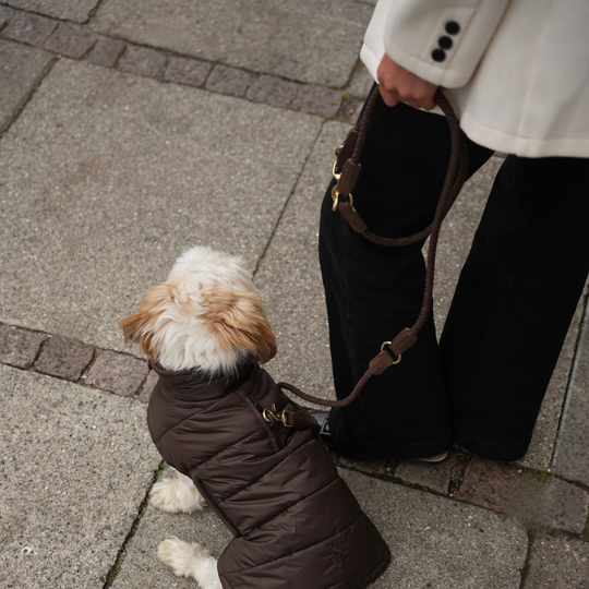 Staey - Kaia Flettet Hundesnor, Dark Oak