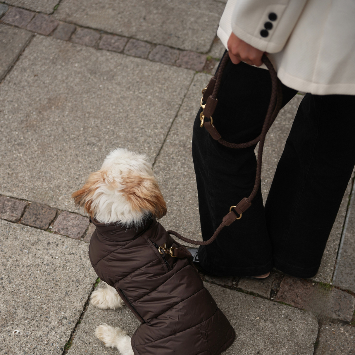 Staey - Kaia Flettet Hundesnor, Dark Oak
