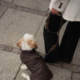 Staey - Kaia Flettet Hundesnor, Dark Oak