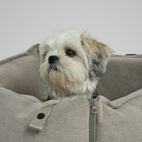 Staey - Fenja 2-i-1 Bilsæde, Dune