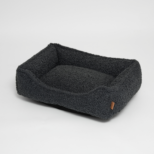 Staey - Tora Hundeseng, Storm Curly