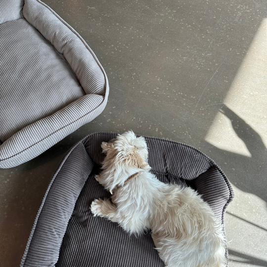 Fløjl Hundeseng - Lysegrå (2. sortering)