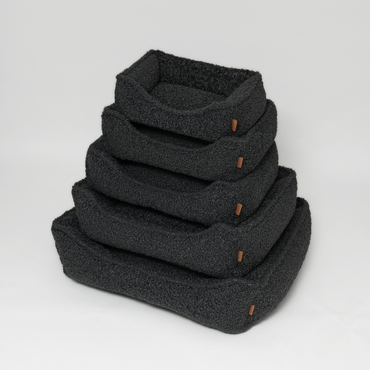 Staey - Tora Hundeseng, Storm Curly