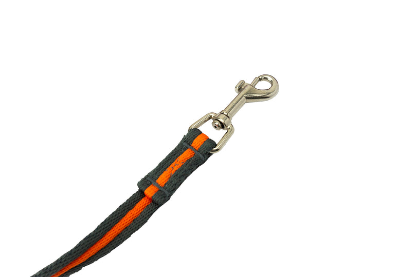 Active Canis - Træningsline 10 meter