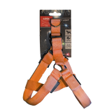 Active Canis LED Hundesele – Orange