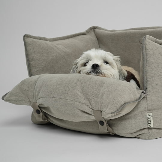 Staey - Fenja 2-i-1 Bilsæde, Dune