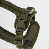 Staey - Numa Hundesele, Fløjl Moss Green