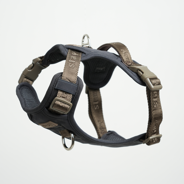 Staey - Elma Active Hundesele, Storm