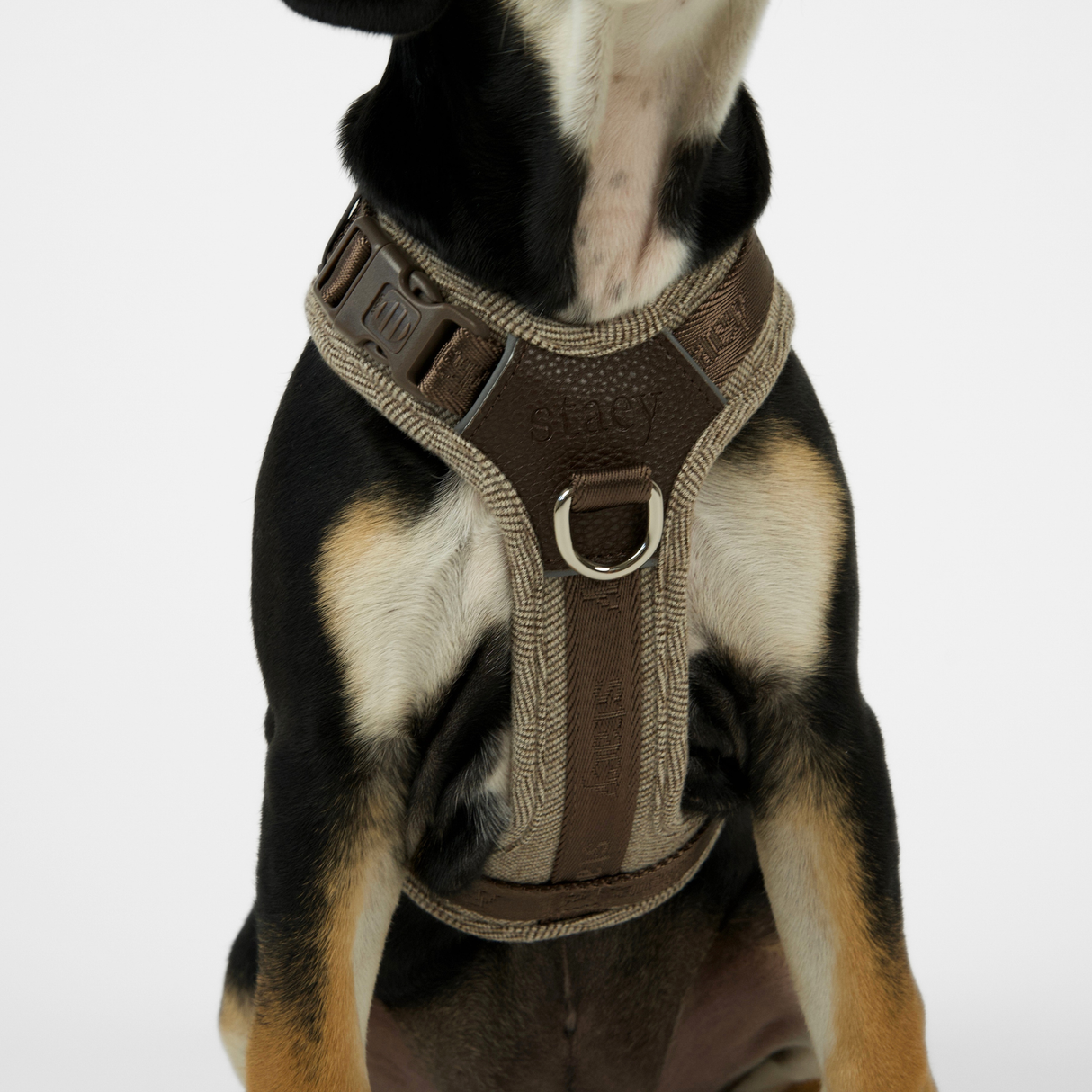 Staey - Numa Hundesele, Mocca