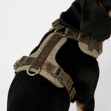 Staey - Numa Hundesele, Mocca