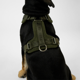 Staey - Numa Hundesele, Fløjl Moss Green