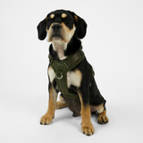 Staey - Numa Hundesele, Fløjl Moss Green