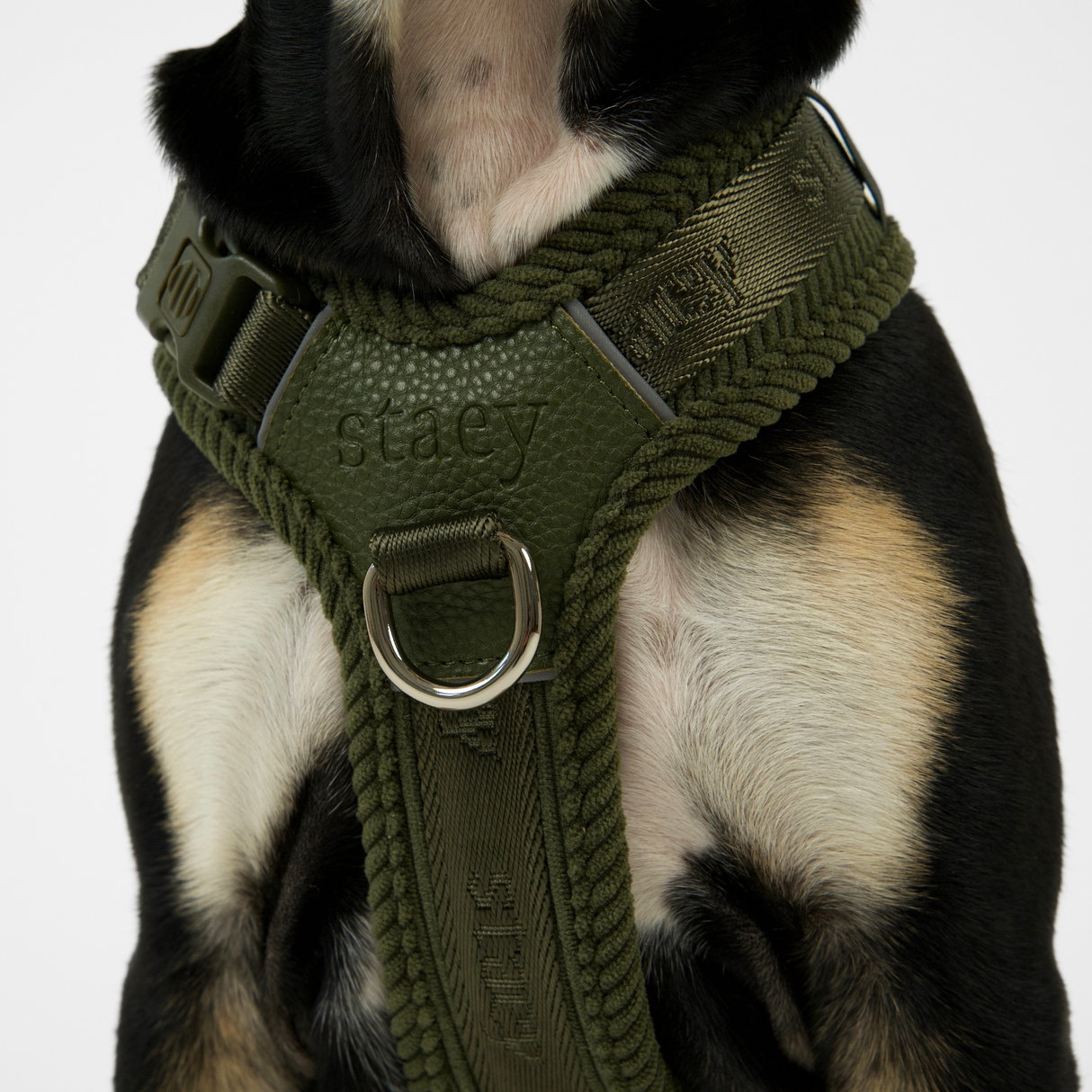Staey - Numa Hundesele, Fløjl Moss Green