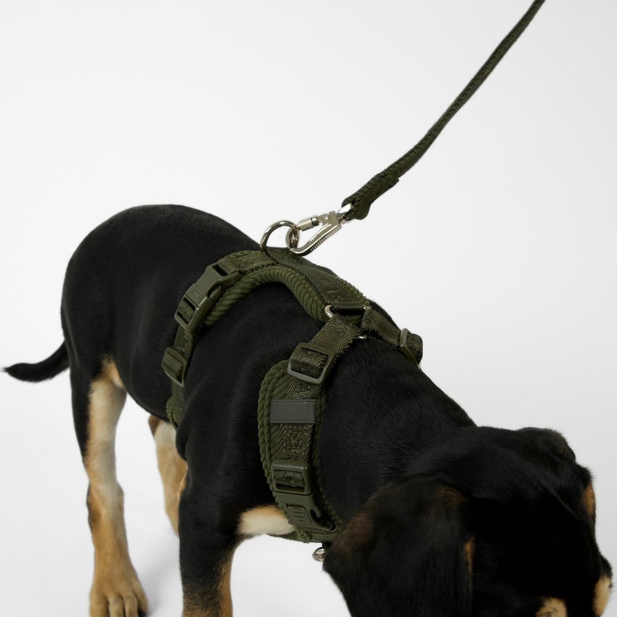 Staey - Numa Hundesele, Fløjl Moss Green