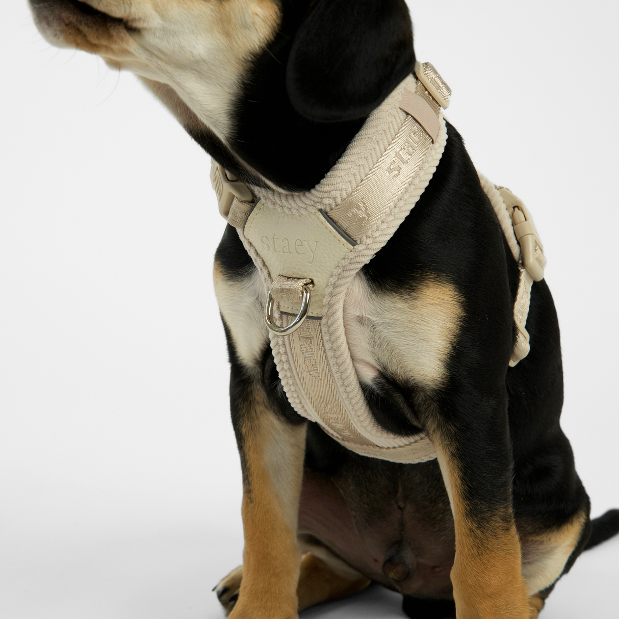 Staey - Numa Hundesele, Fløjl Oat