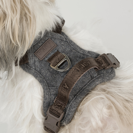 Staey - Elma Hundesele, Stone