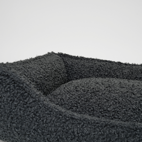 Staey - Tora Hundeseng, Storm Curly