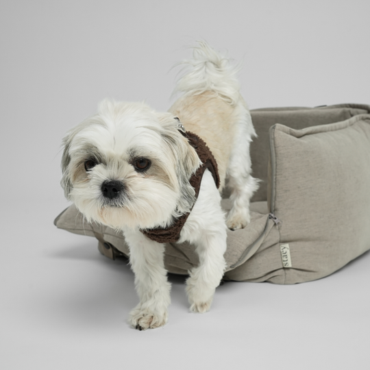 Staey - Fenja 2-i-1 Bilsæde, Dune